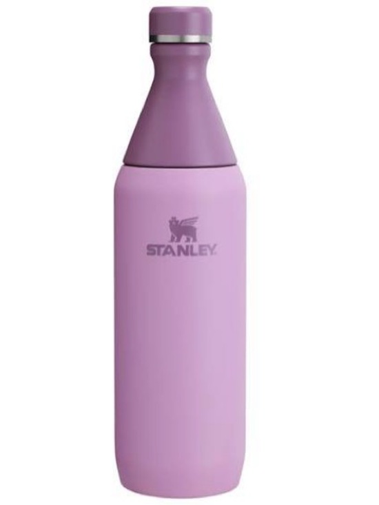 Stanley Other - Stanley slim bottle Stainless Steel Lavender Water Bottle 20oz screw on